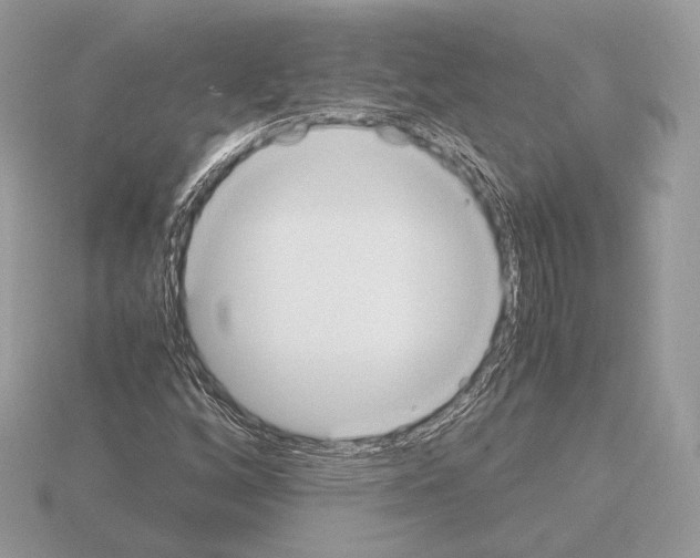 X0000115301256200912141109