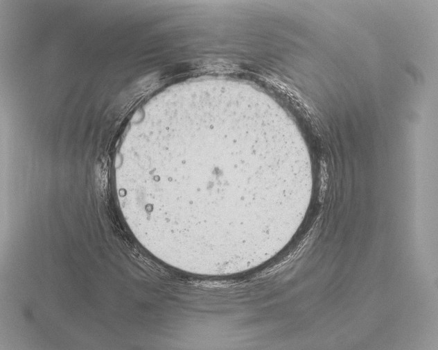 X0000115301257200912141109