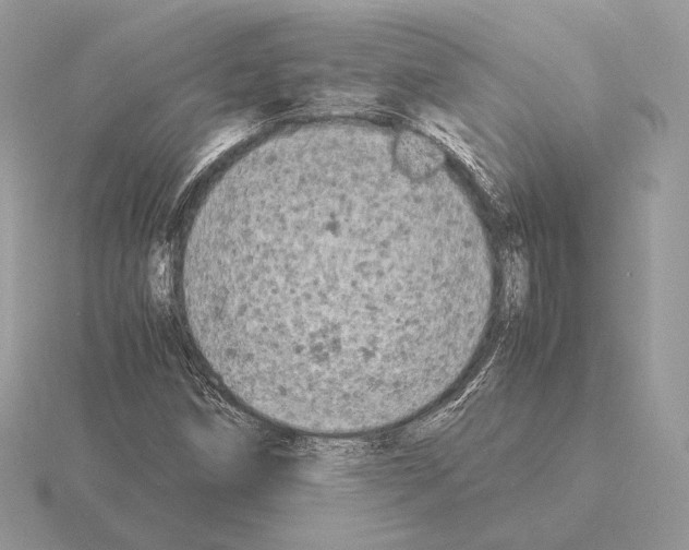 X0000115301258200912141109