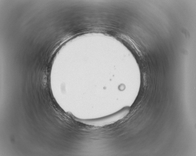 X0000115301260200912141109