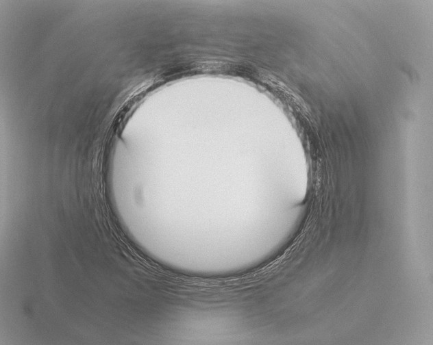 X0000115301261200912141109