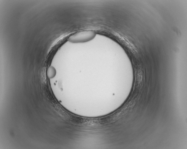 X0000115301262200912141109