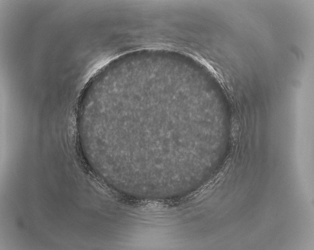 X0000115301263200912141109