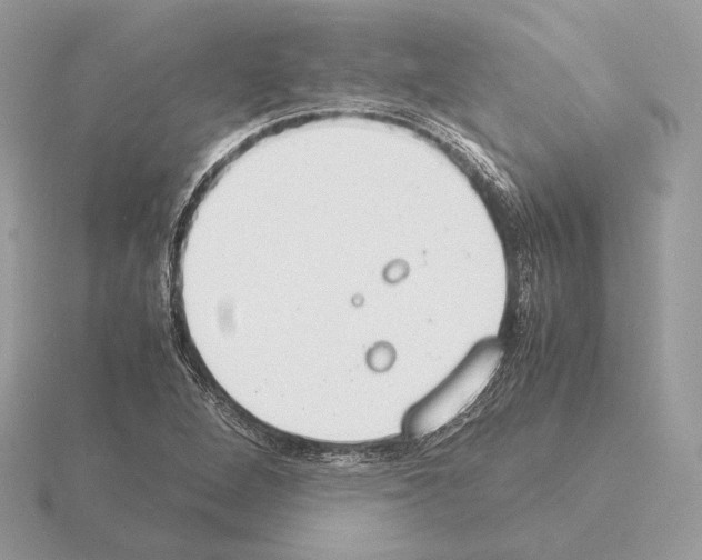 X0000115301264200912141109