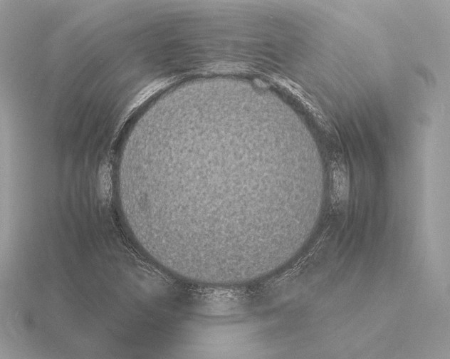 X0000115301266200912141109