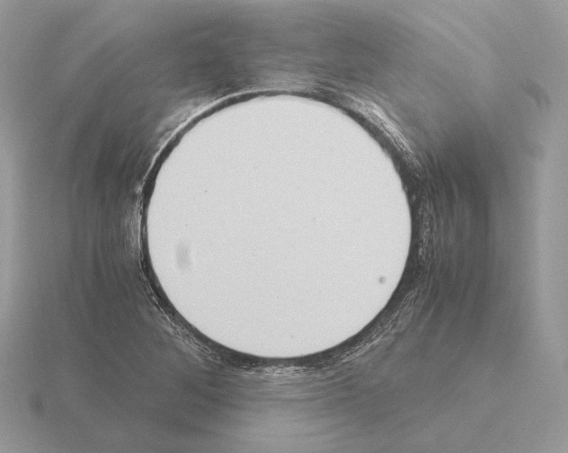 X0000115301268200912141109