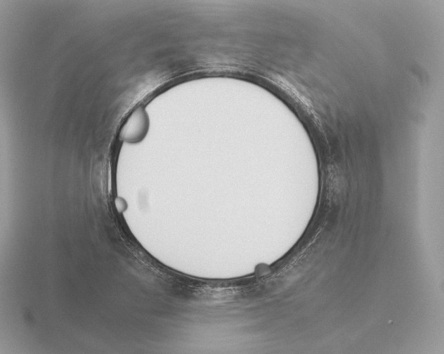 X0000115301269200912141109