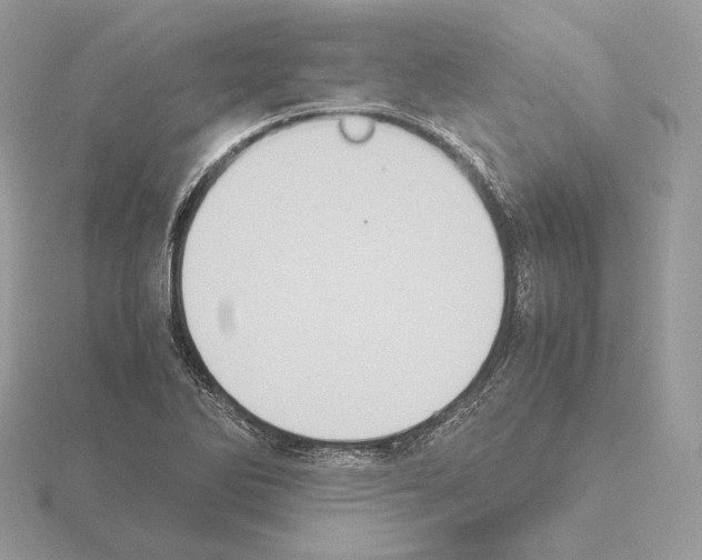 X0000115301270200912141109