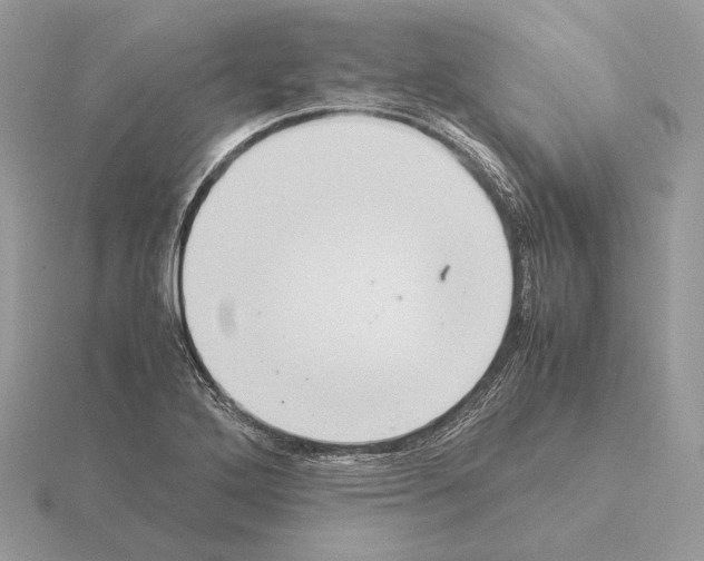 X0000115301272200912141109