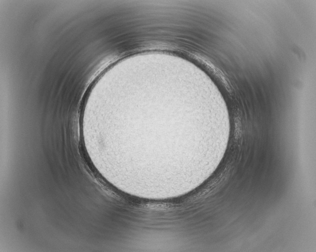 X0000115301274200912141109