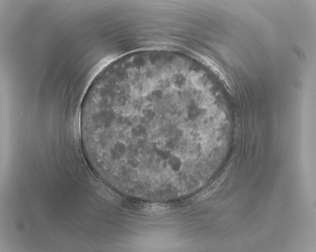 X0000115301275200912141109