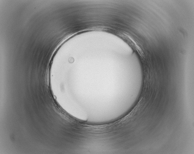 X0000115301276200912141109