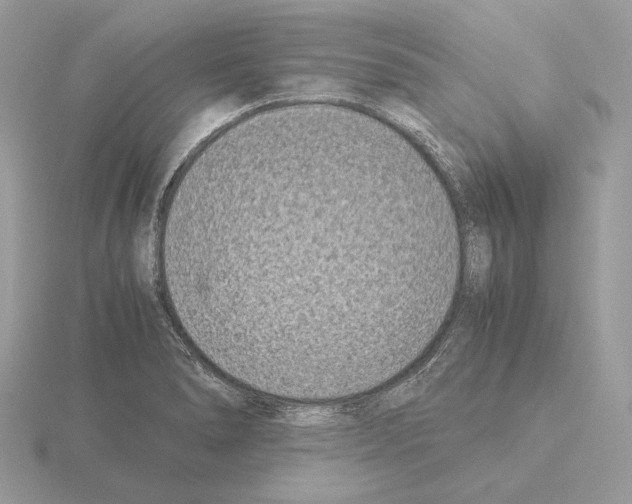 X0000115301278200912141109