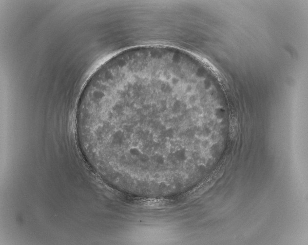 X0000115301279200912141109