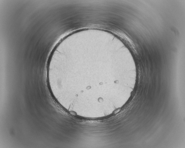 X0000115301280200912141109