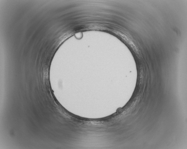 X0000115301281200912141109