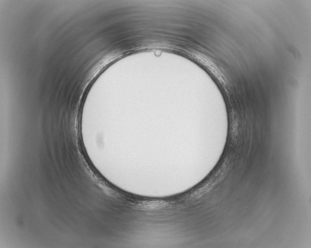 X0000115301282200912141109