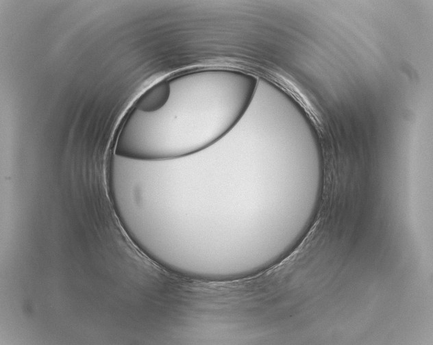 X0000115301284200912141109