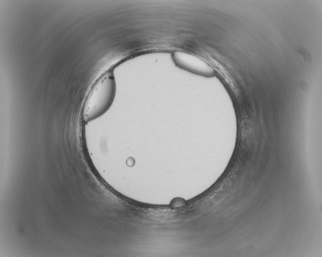 X0000115301285200912141109