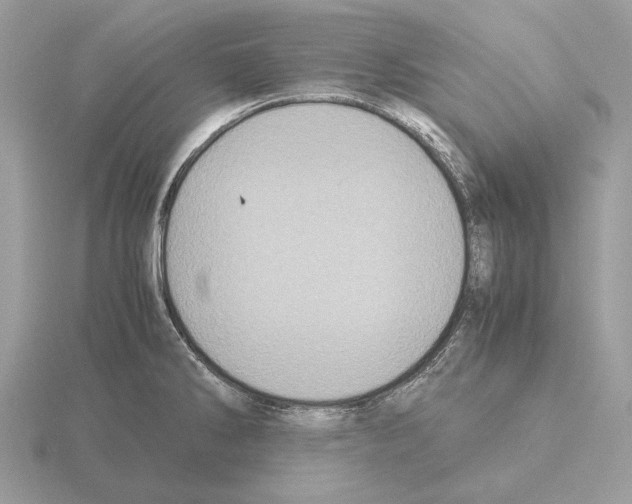 X0000115301286200912141109