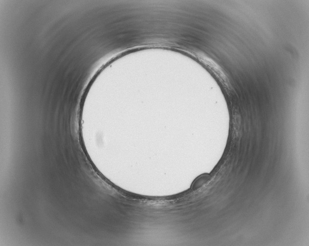 X0000115301288200912141109