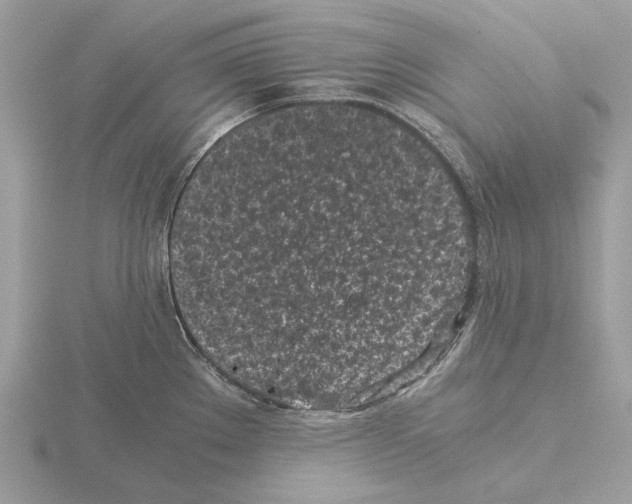 X0000115301289200912141109