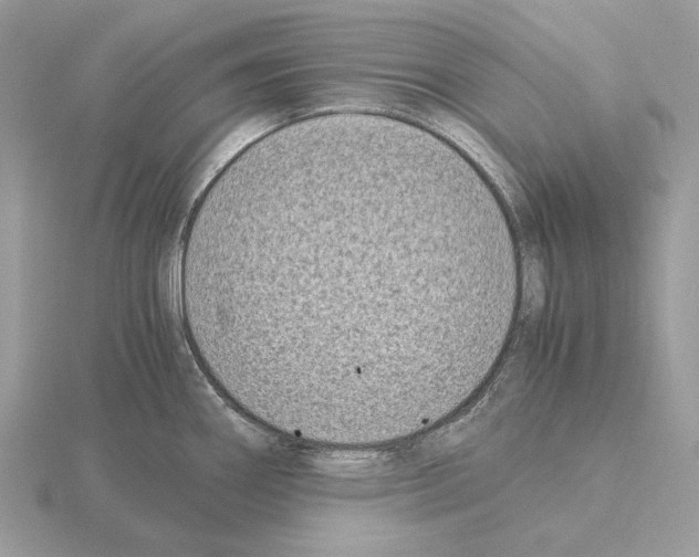 X0000115301290200912141109