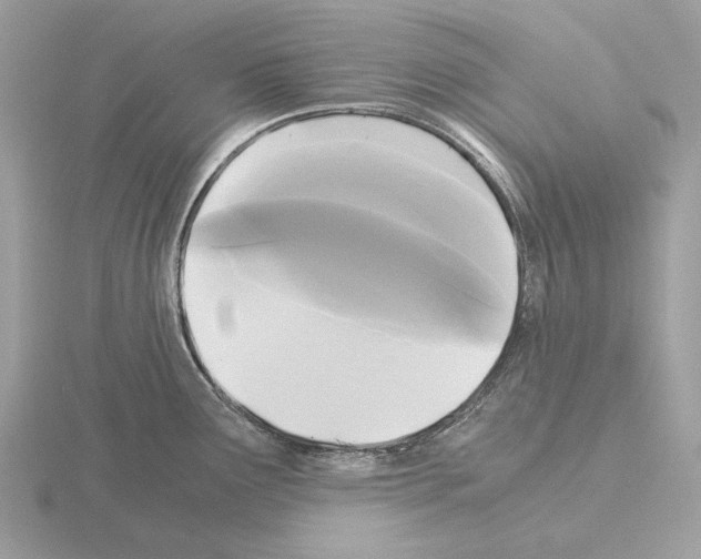 X0000115301291200912141109