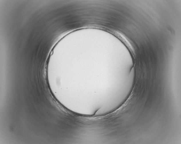 X0000115301292200912141109