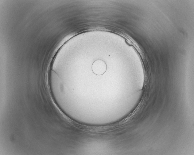 X0000115301293200912141109