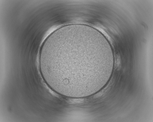 X0000115301294200912141109