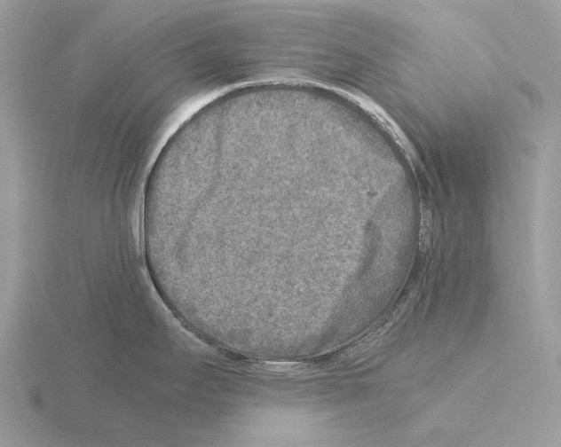 X0000115301295200912141109