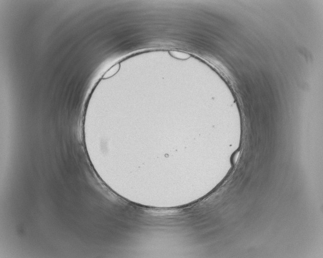 X0000115301296200912141109