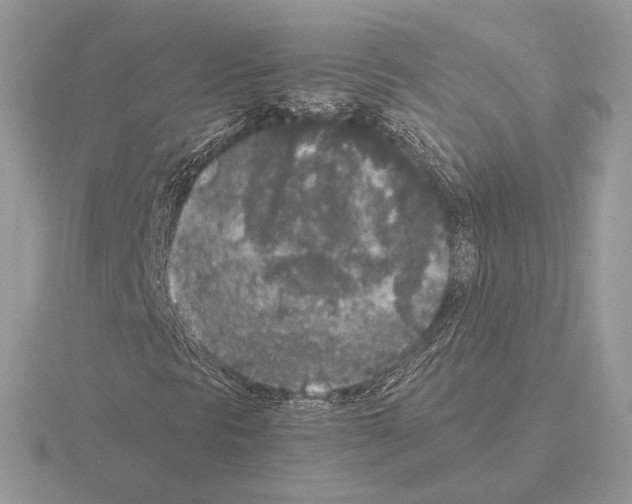 X0000115301297200912141108