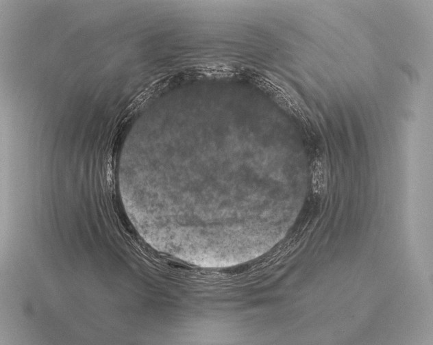 X0000115301298200912141108