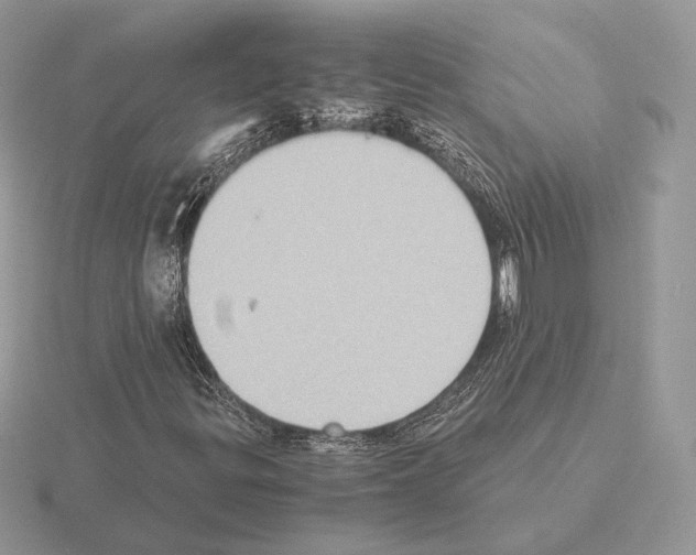 X0000115301299200912141108