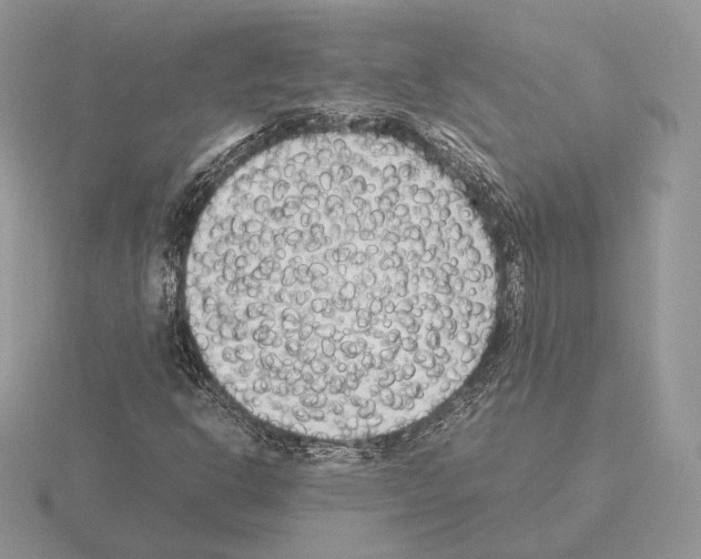 X0000115301302200912141108