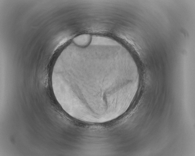 X0000115301306200912141108