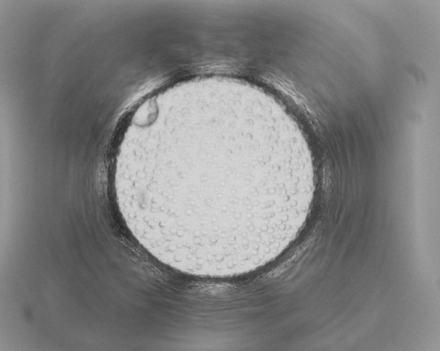 X0000115301309200912141108