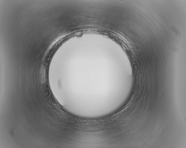 X0000115301310200912141108