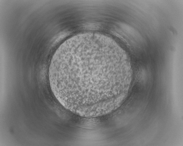 X0000115301314200912141108