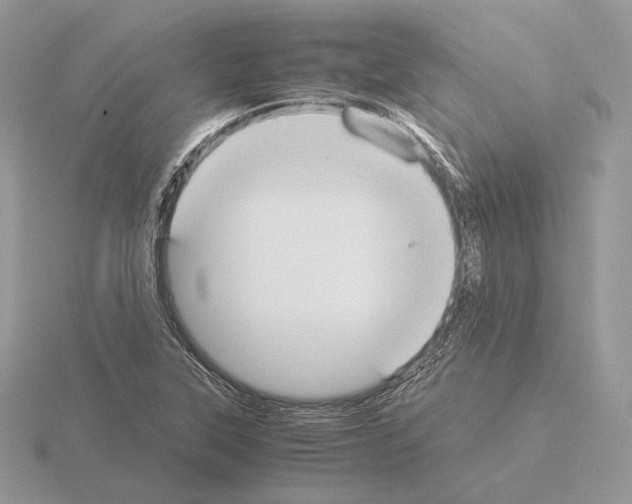 X0000115301315200912141108