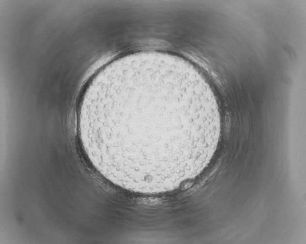 X0000115301317200912141108