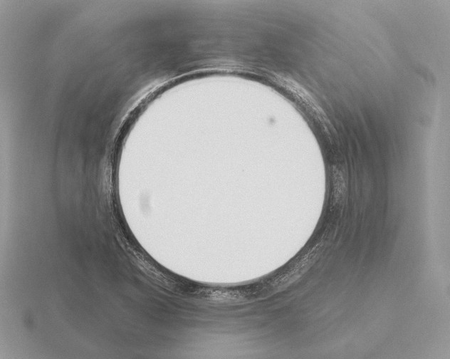 X0000115301318200912141108