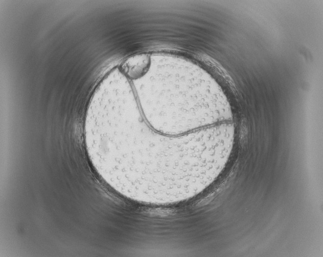 X0000115301321200912141108