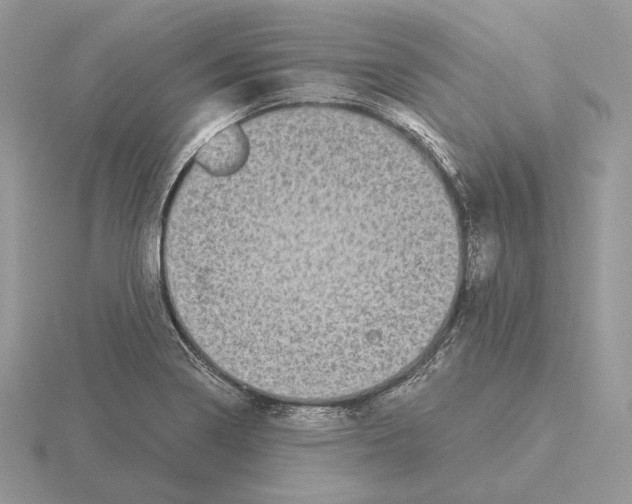 X0000115301322200912141108