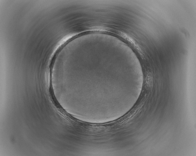 X0000115301323200912141108