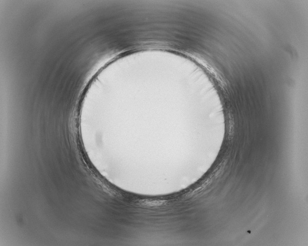 X0000115301325200912141108