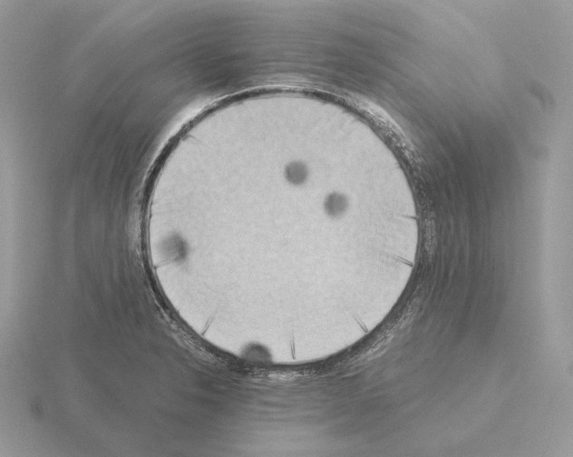 X0000115301326200912141108