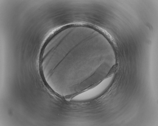 X0000115301327200912141108